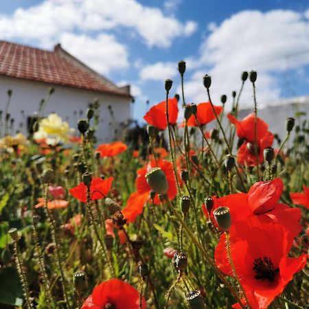 Al Mar Guesthouse São Luis Zewnętrze zdjęcie